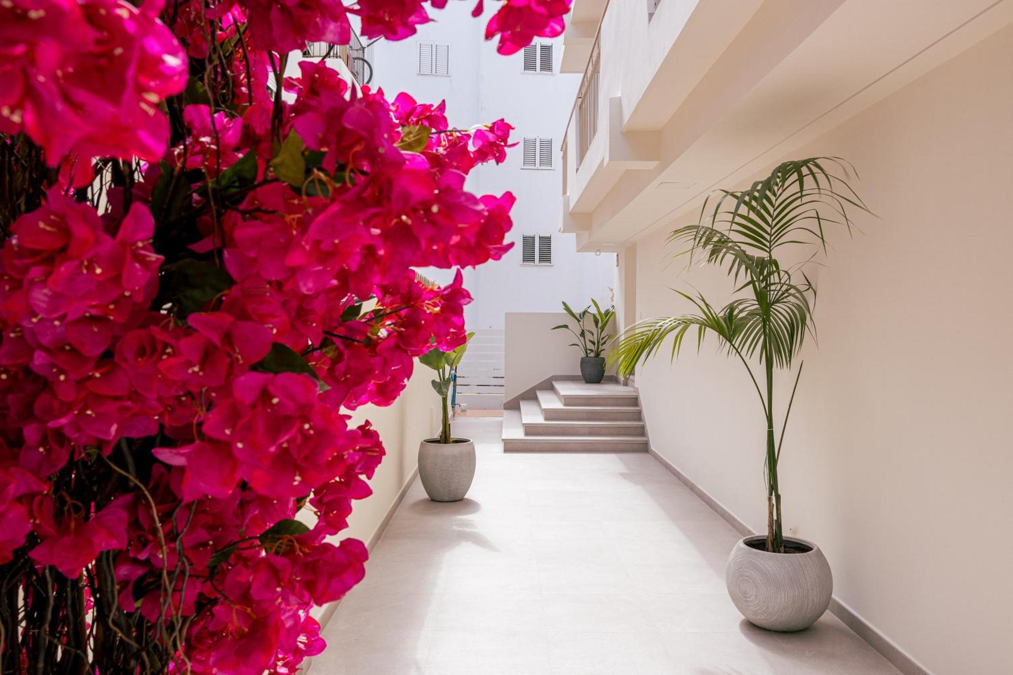 Malacosta A - Mc Apartments Ibiza Zewnętrze zdjęcie